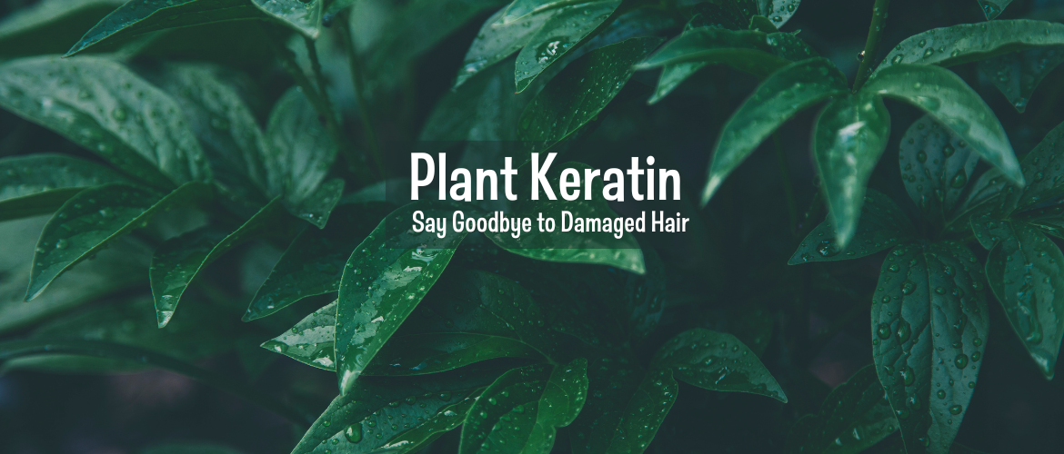 How plant keratin repairs hair damage?