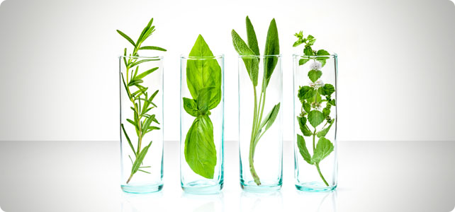 Lumy formulations are comprehensive and targeted solution for nutrients gaps
