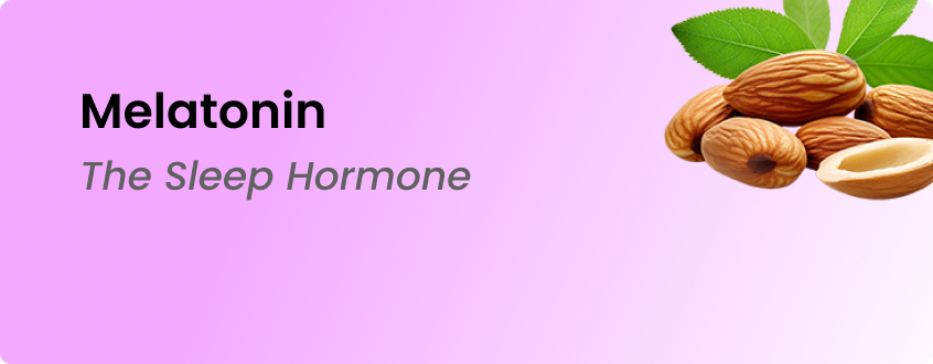 melatonin helps regulate sleep wake cycle