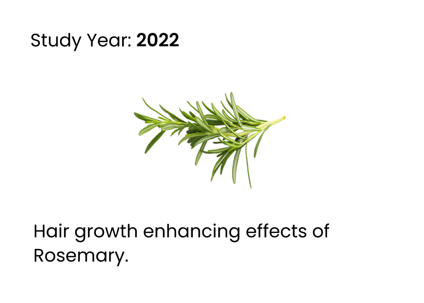 science journal about rosemary improving hair growth