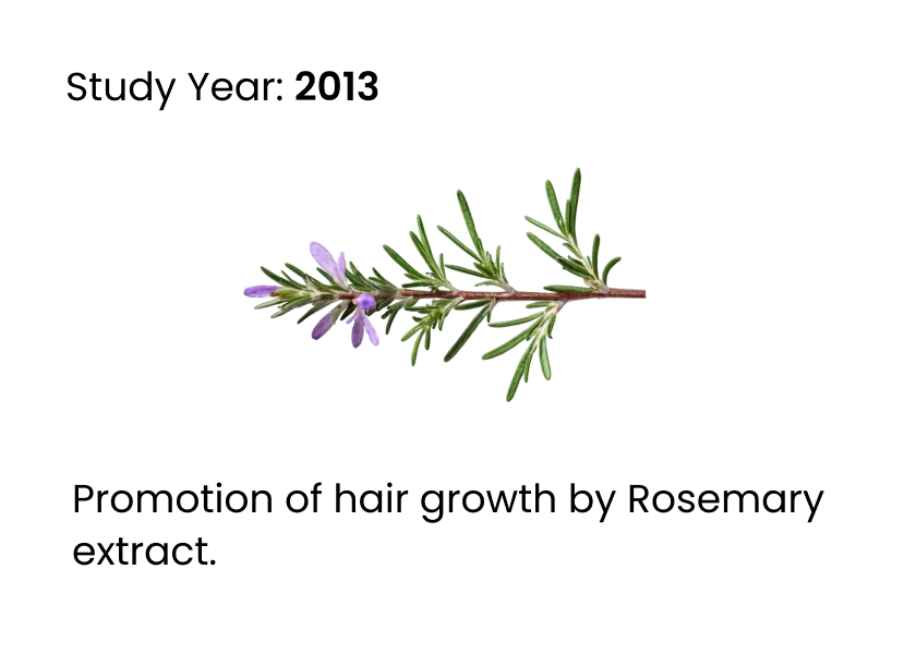 science journal about role of rosemary for hair growth